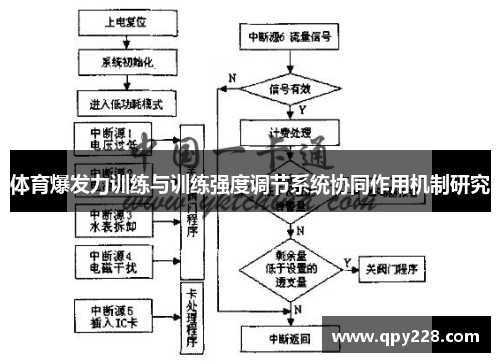 体育爆发力训练与训练强度调节系统协同作用机制研究